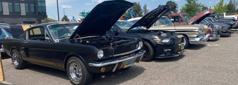 4th Annual Blue Car Show