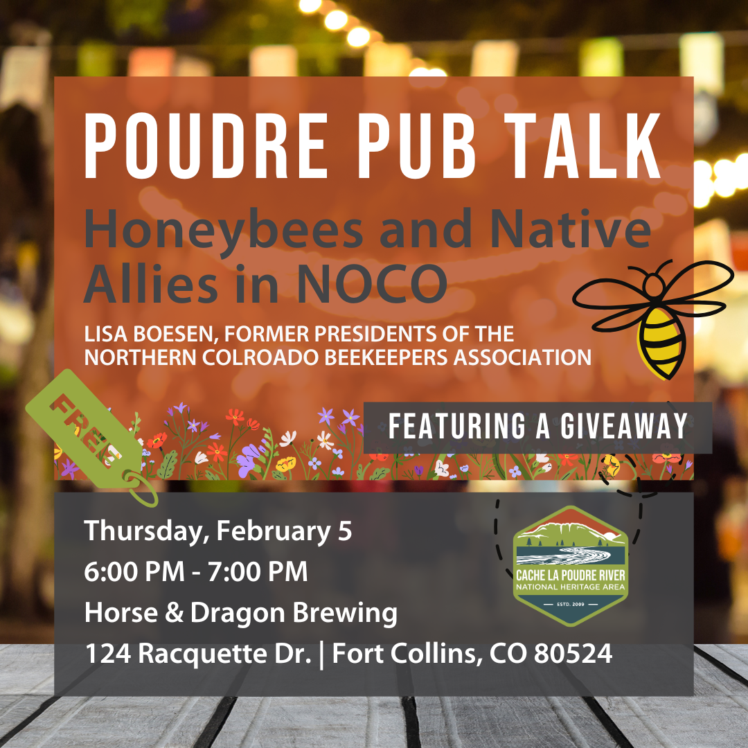 Honeybees and Native Allies in Northern Colorado | Poudre Pub Talk